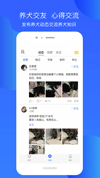犬卫士0