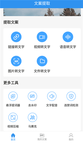 文案提取软件