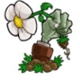 植物大战僵尸启命版游戏下载安装-植物大战僵尸启命版游戏2025最新版本下载v1.0