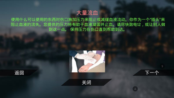 真实泊车2安卓版截图