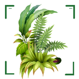 识万物扫一扫app下载-识万物扫一扫软件下载v1.11安卓版