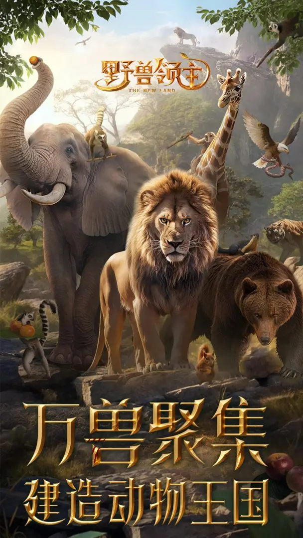 预览图1