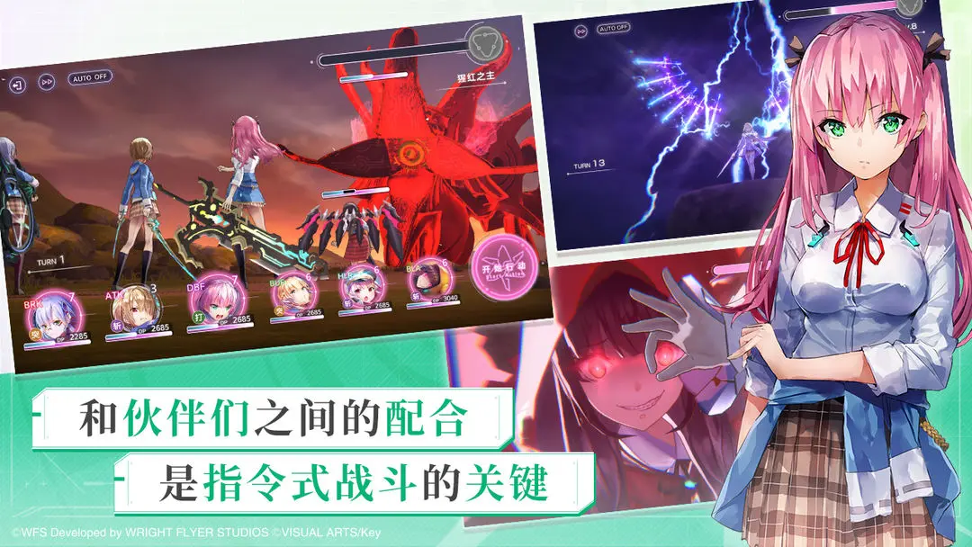 预览图4