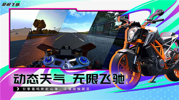 预览图4
