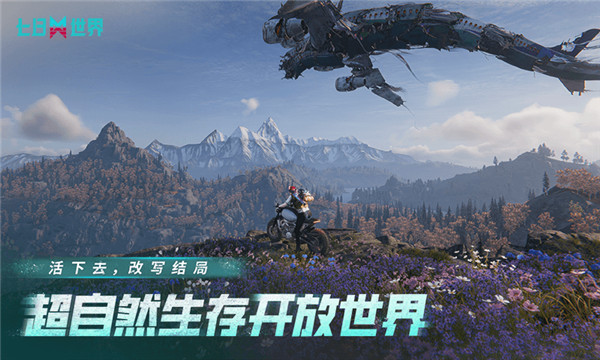 预览图5