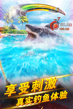 预览图3