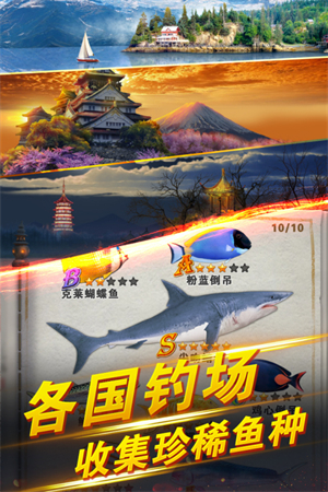 预览图5