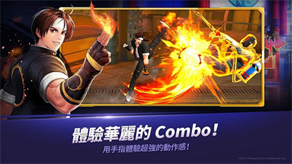 预览图4