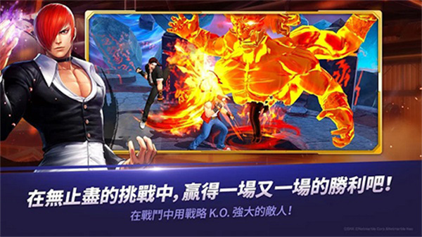 预览图3