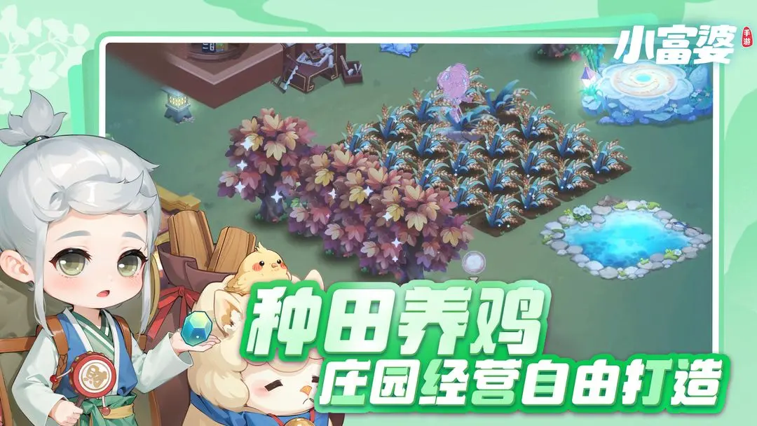 预览图3