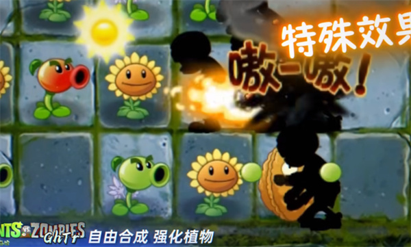 预览图4
