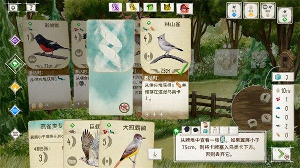 预览图4