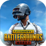 pubg3.1版本下载正式服-pubg3.1版本安卓版下载2025v3.8.0