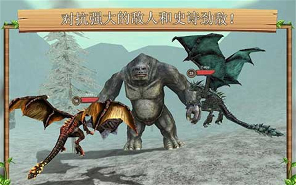 预览图3