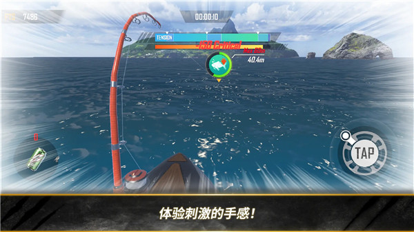 预览图2
