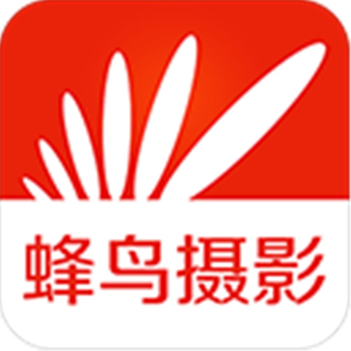 蜂鸟摄影