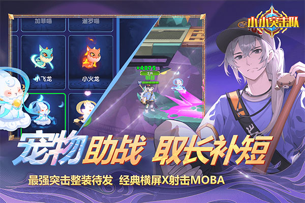 预览图2