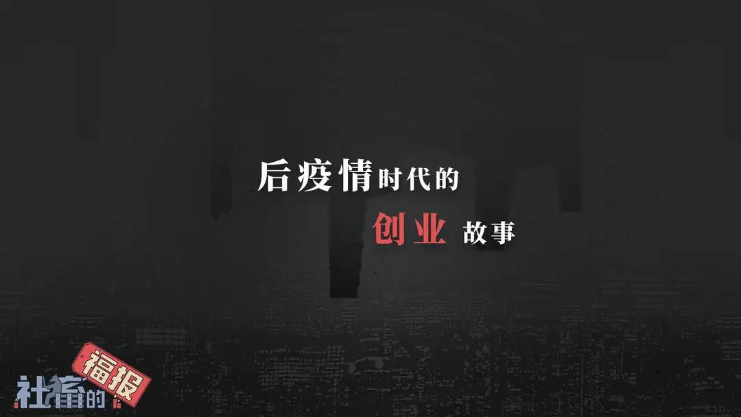 预览图4